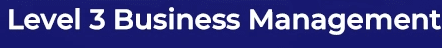 Business Management 3