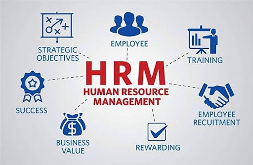Human Resource Management Bachelor Degree